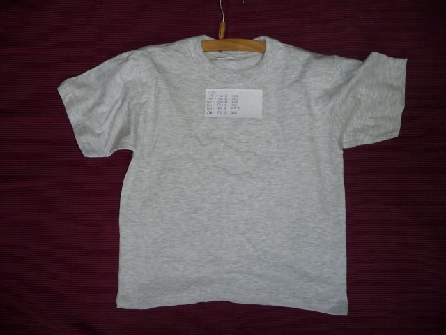 basickidstshirtash.jpg