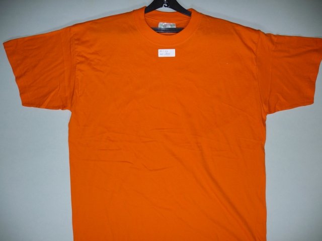 basictshirtorance.jpg