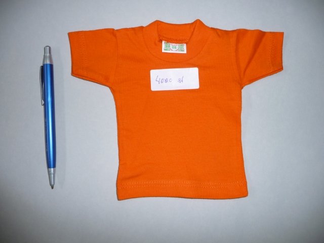 dolltshirt.jpg